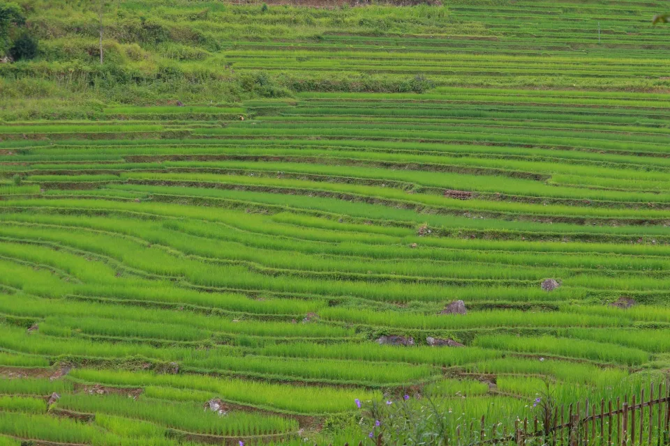 Kho gạo của Hải Vân 68